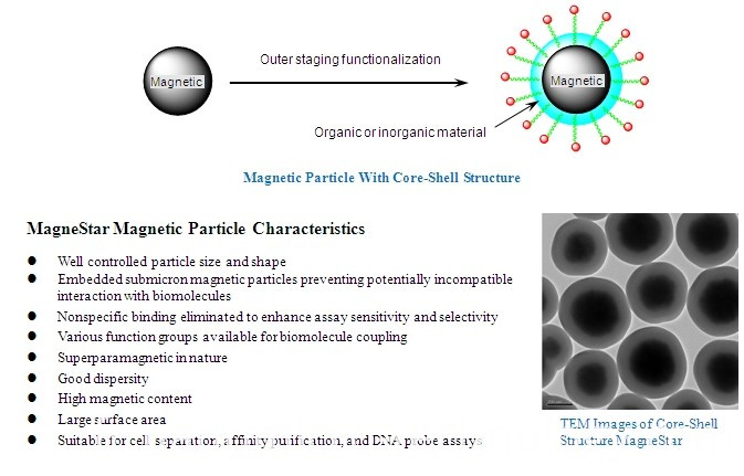 Méthode de séparation magnétique Magnetic Separation Method